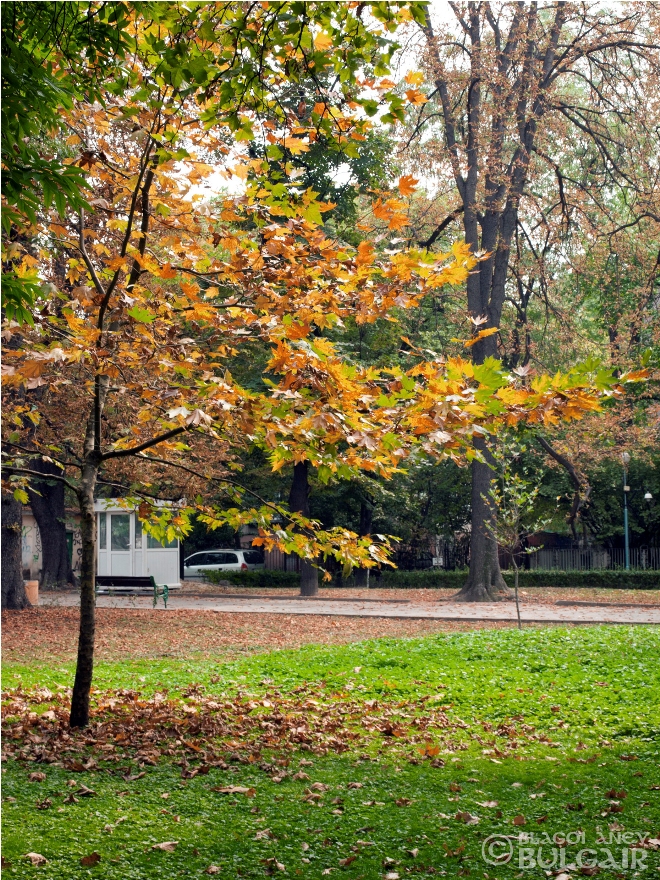 http://image.nauka.bg/kul/pametnici/Anton.Bezeneshki/_9189274.jpg
